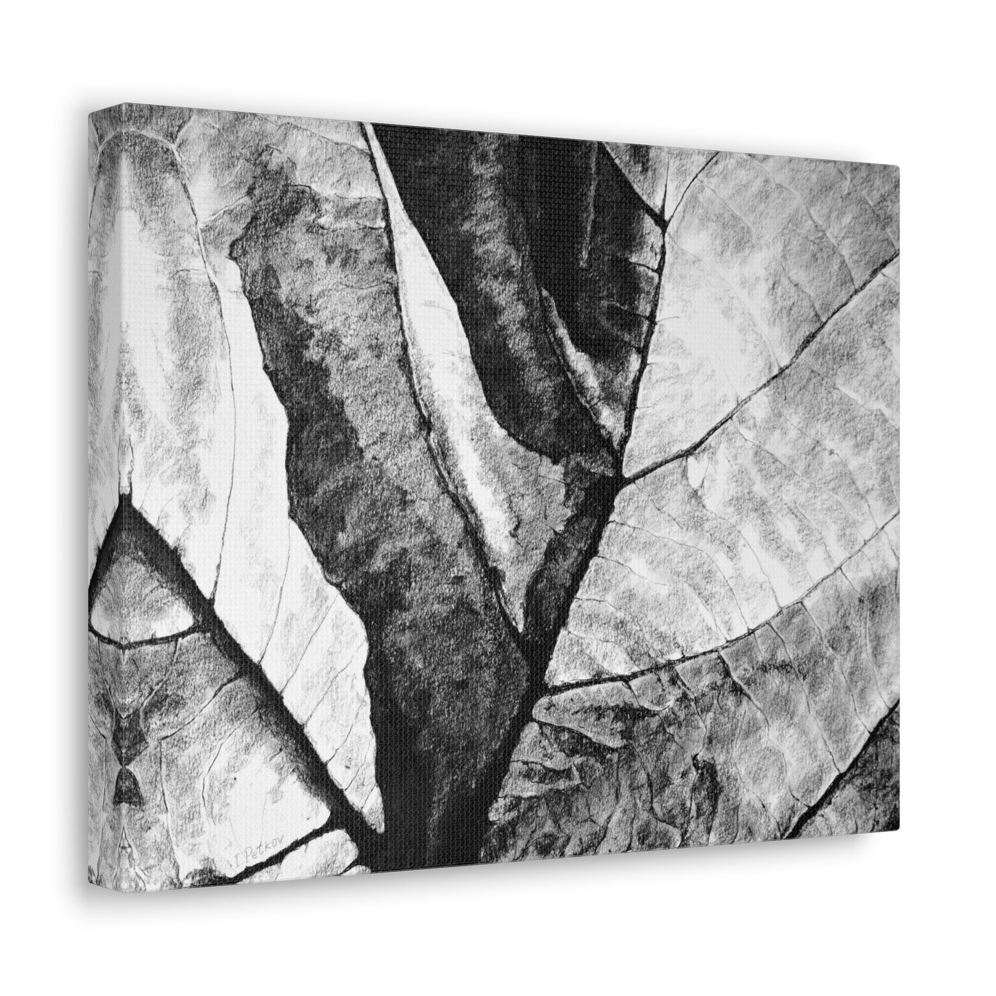 Living Structure II - Canvas Print