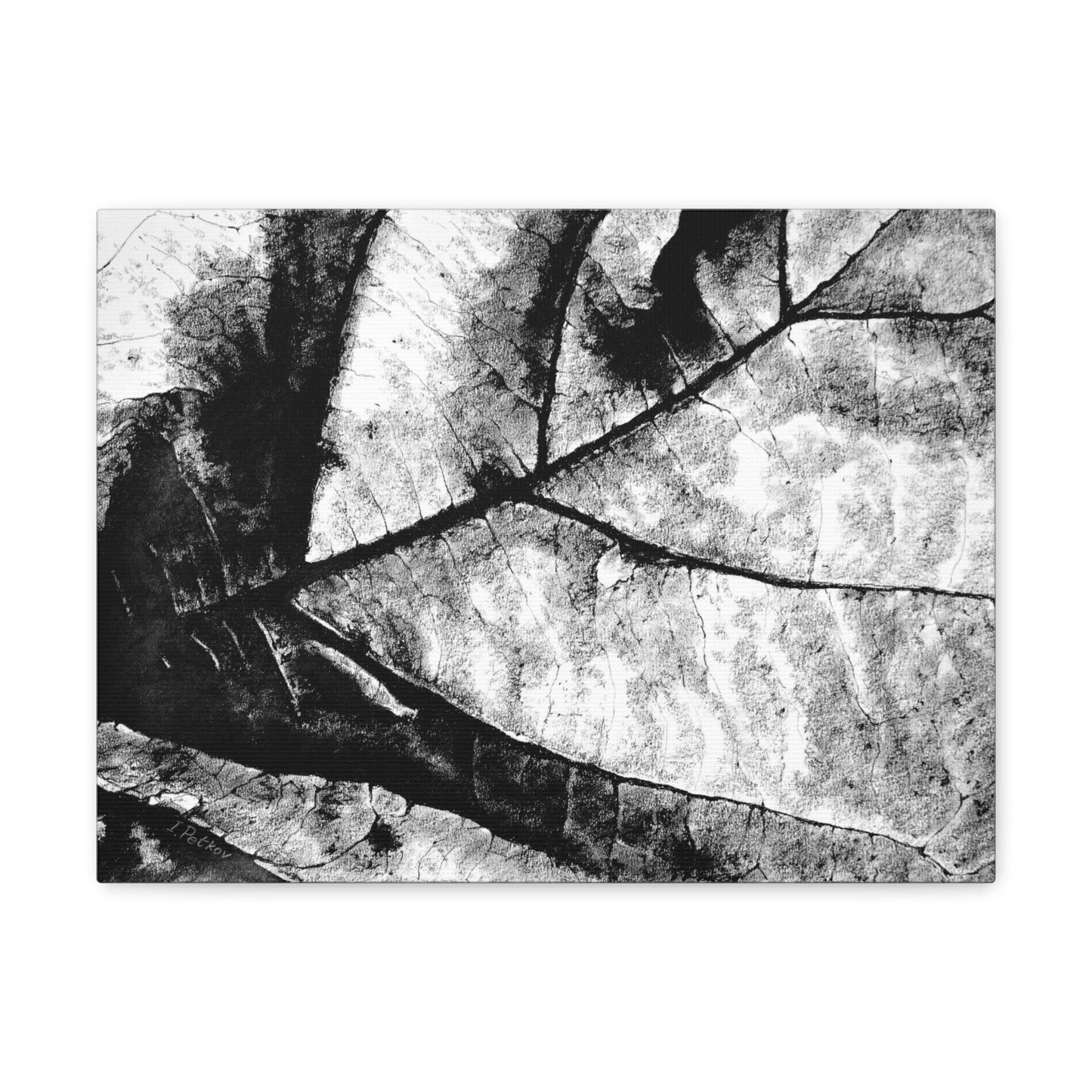 Living Structure I - Canvas Print