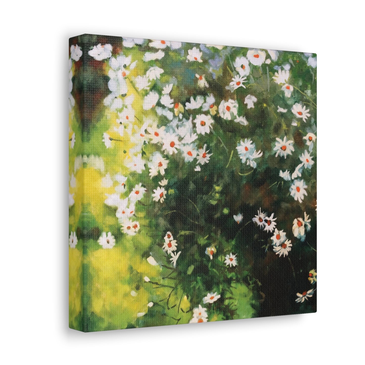 Daisies - Square Canvas Print