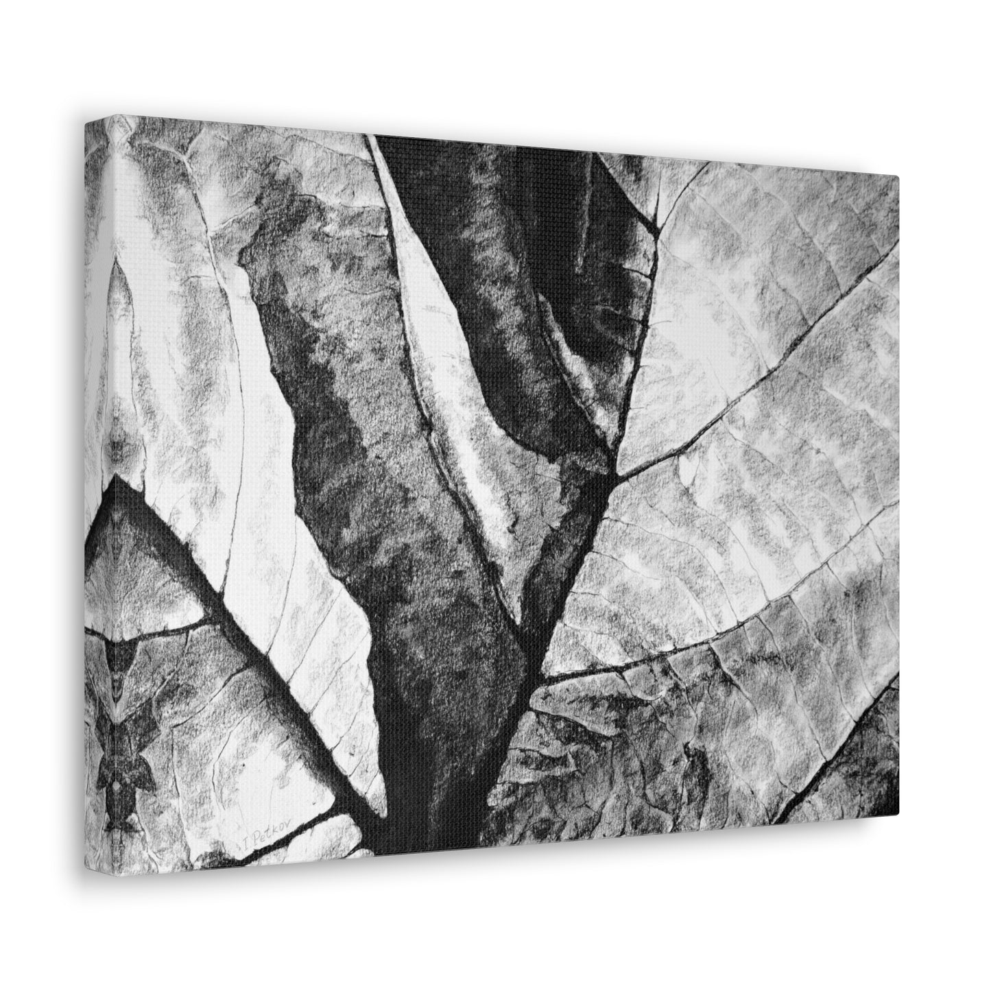 Living Structure II - Canvas Print