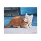 Jigsaw Puzzle - Orange Kitten