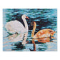 Jigsaw Puzzle - Swans on Lake with Reflections