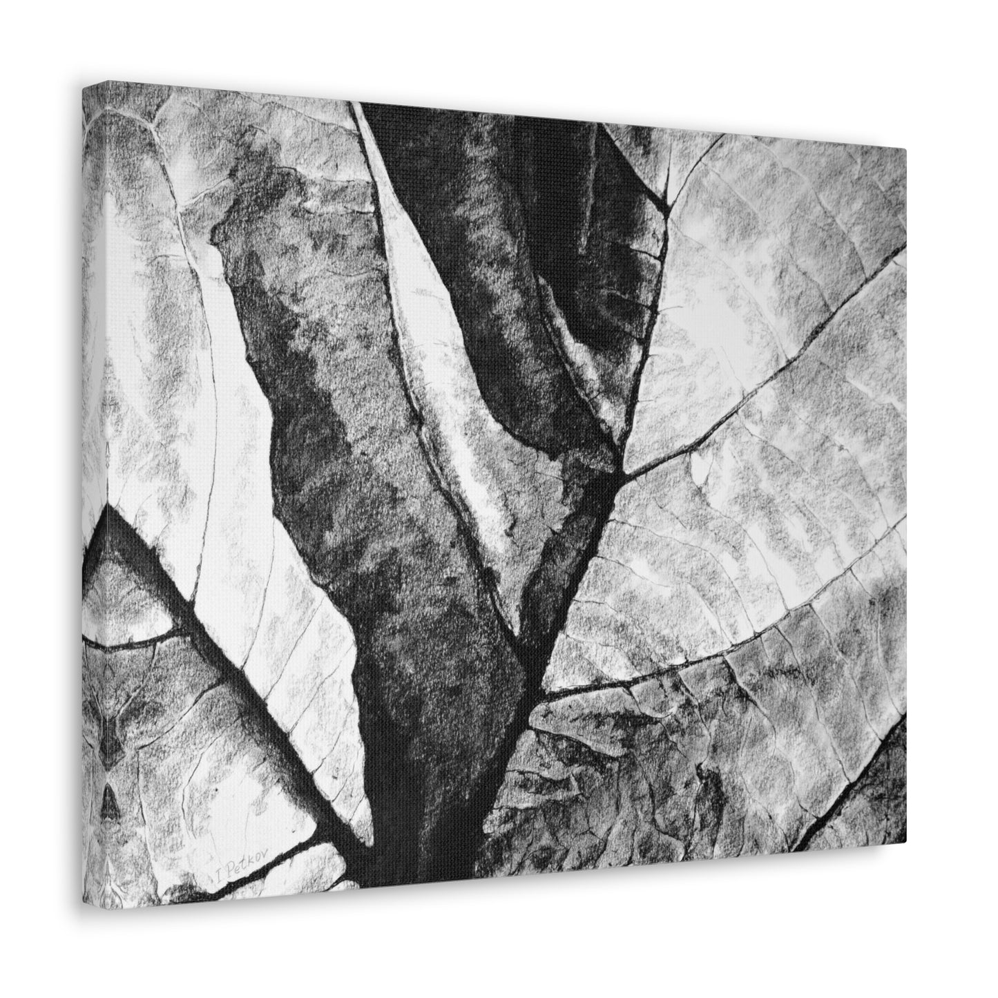 Living Structure II - Canvas Print