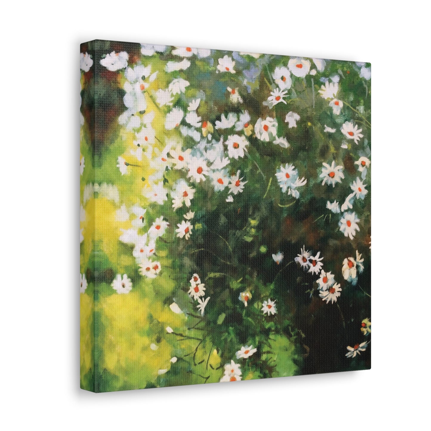 Daisies - Square Canvas Print