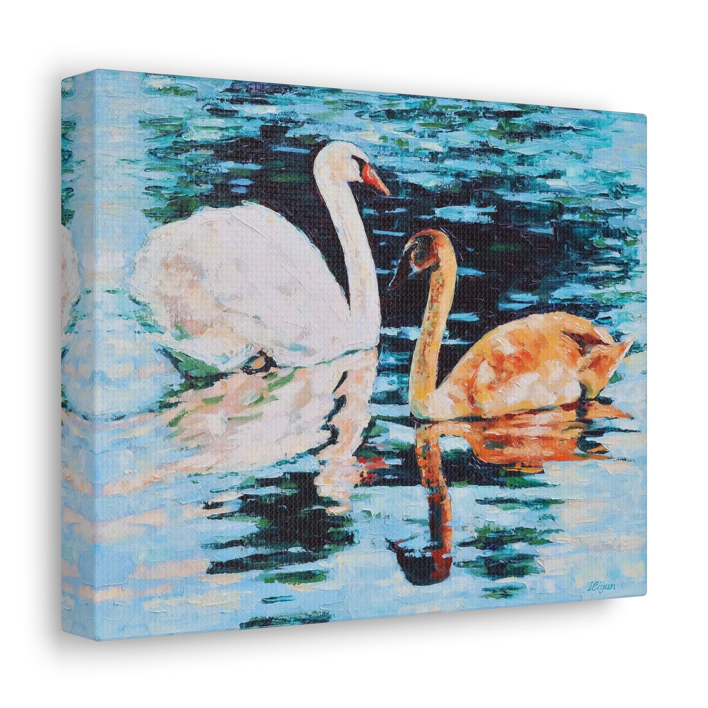 Swans on Lake with Reflections - Canvas Print