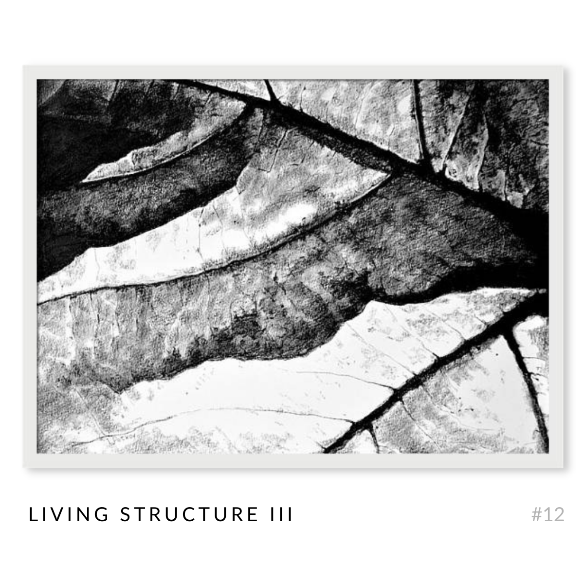 The Structures - Complete Art Series - Set of 17 Black and White Artworks