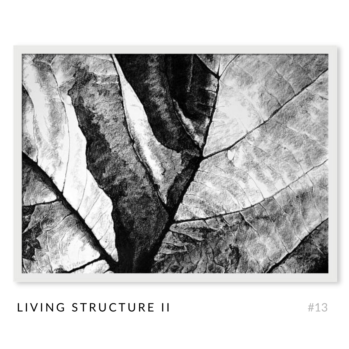 The Structures - Complete Art Series - Set of 17 Black and White Artworks