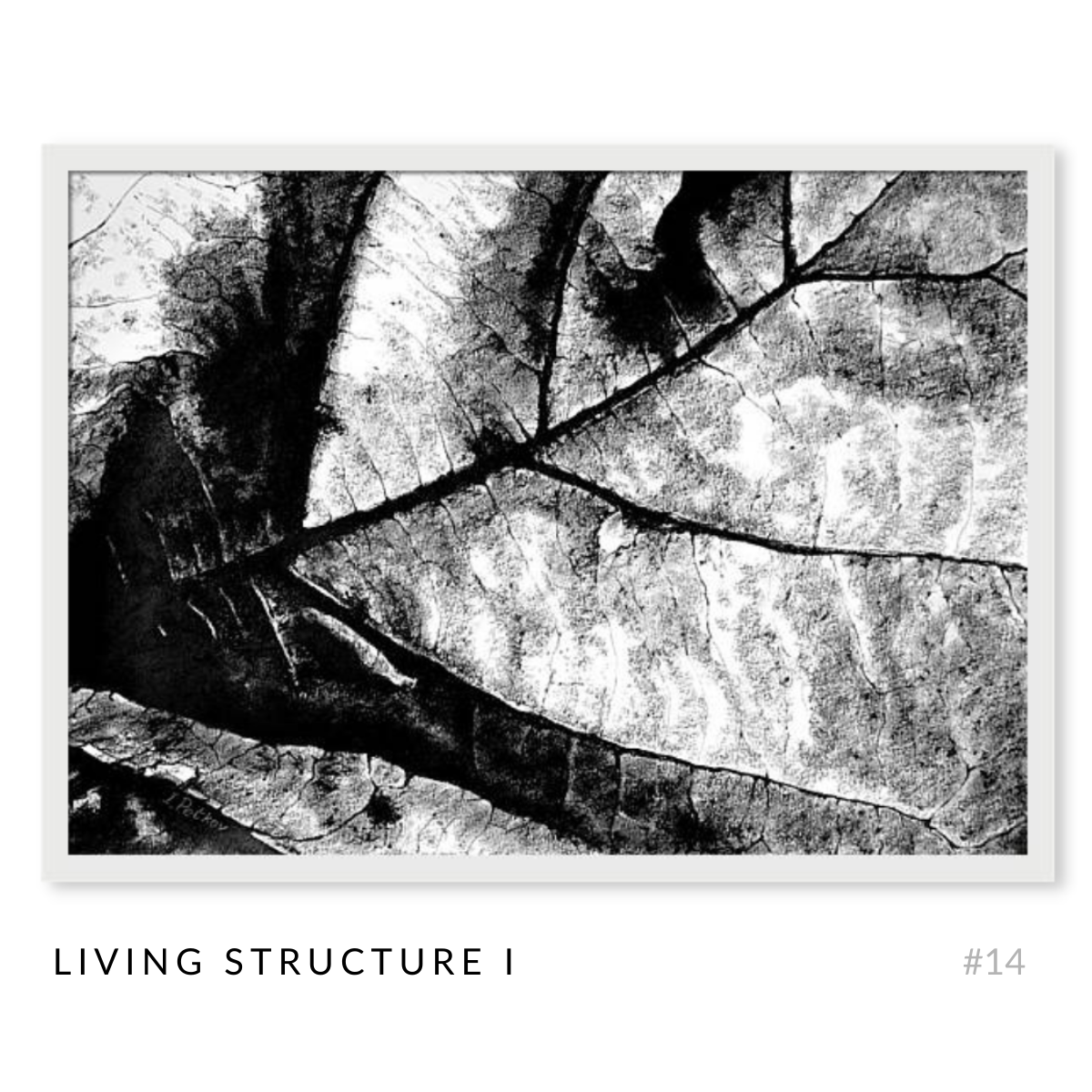 The Structures - Complete Art Series - Set of 17 Black and White Artworks