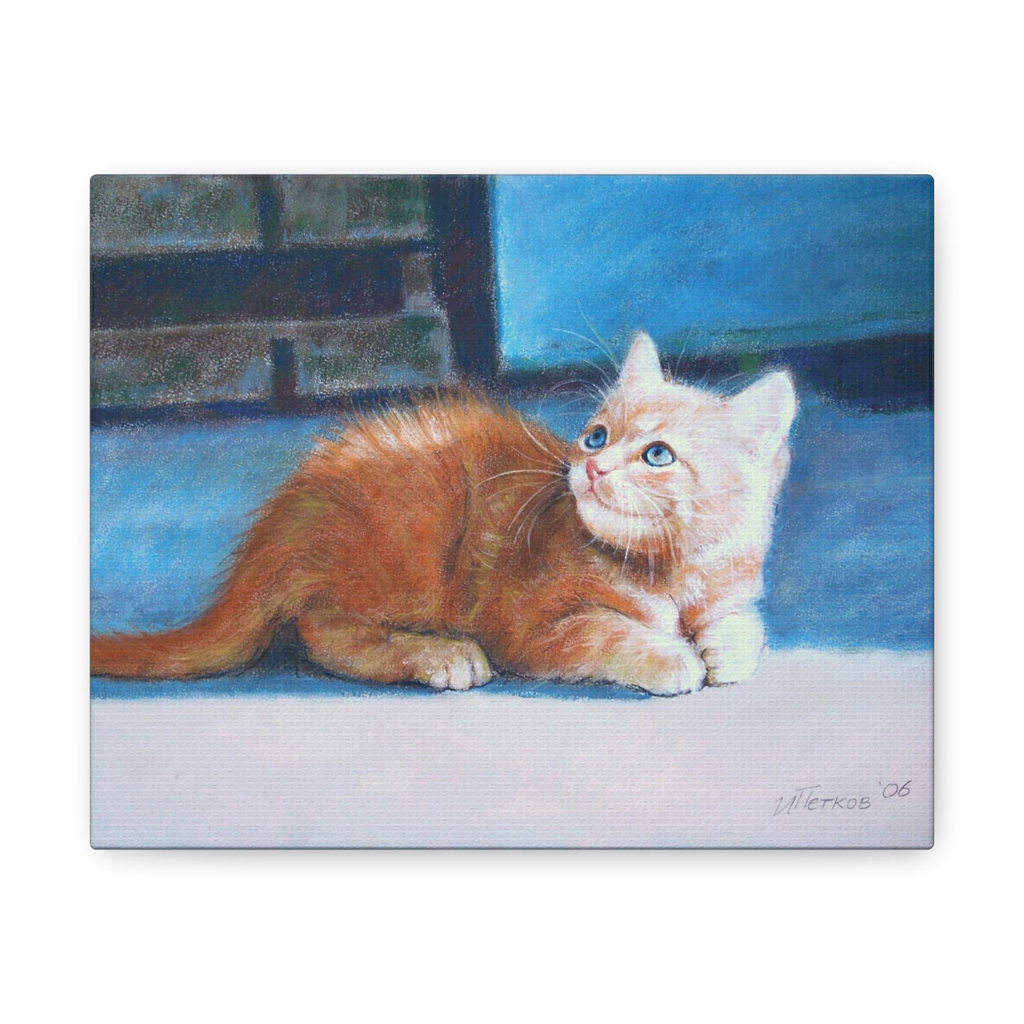 Orange Kitten - Canvas Print