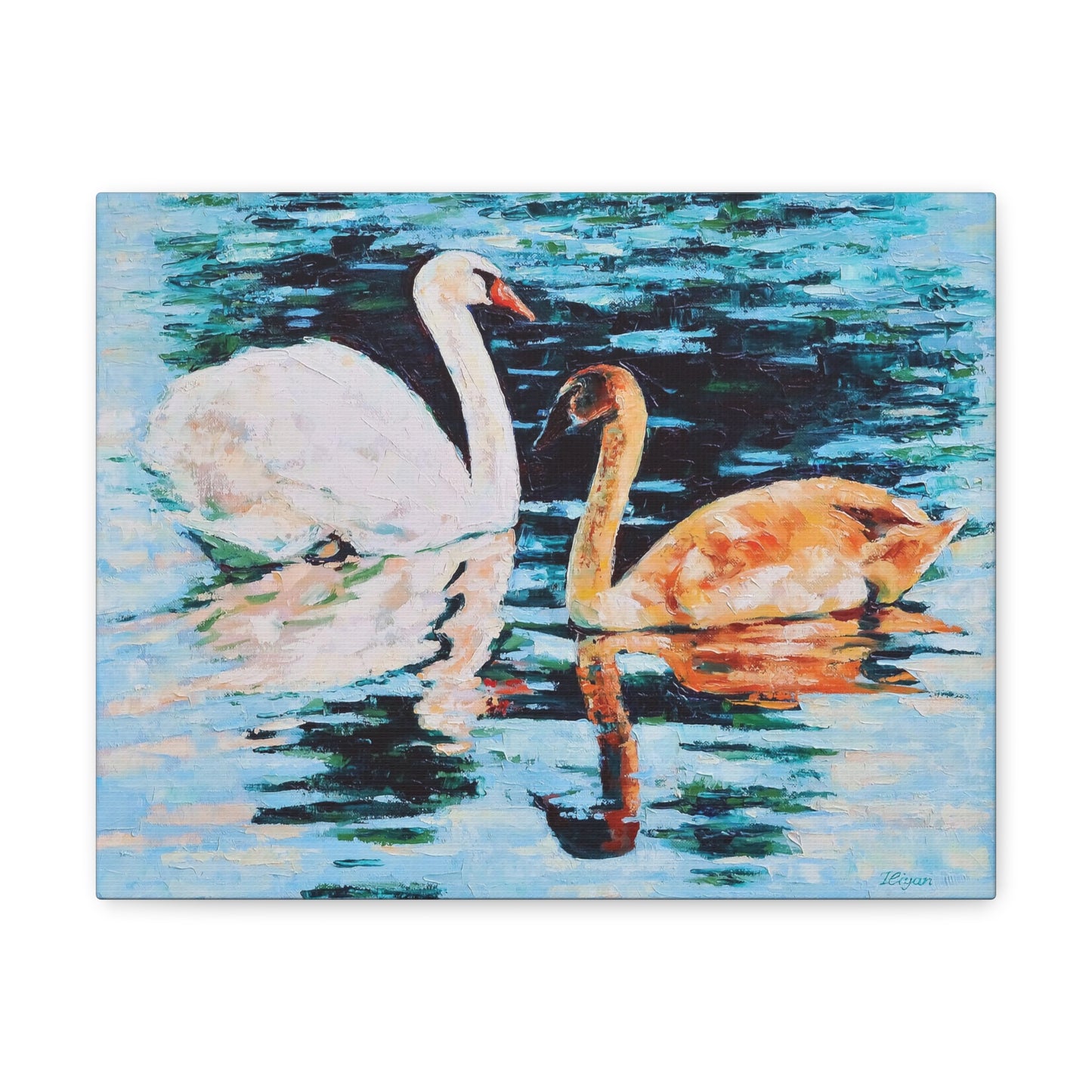 Swans on Lake with Reflections - Canvas Print