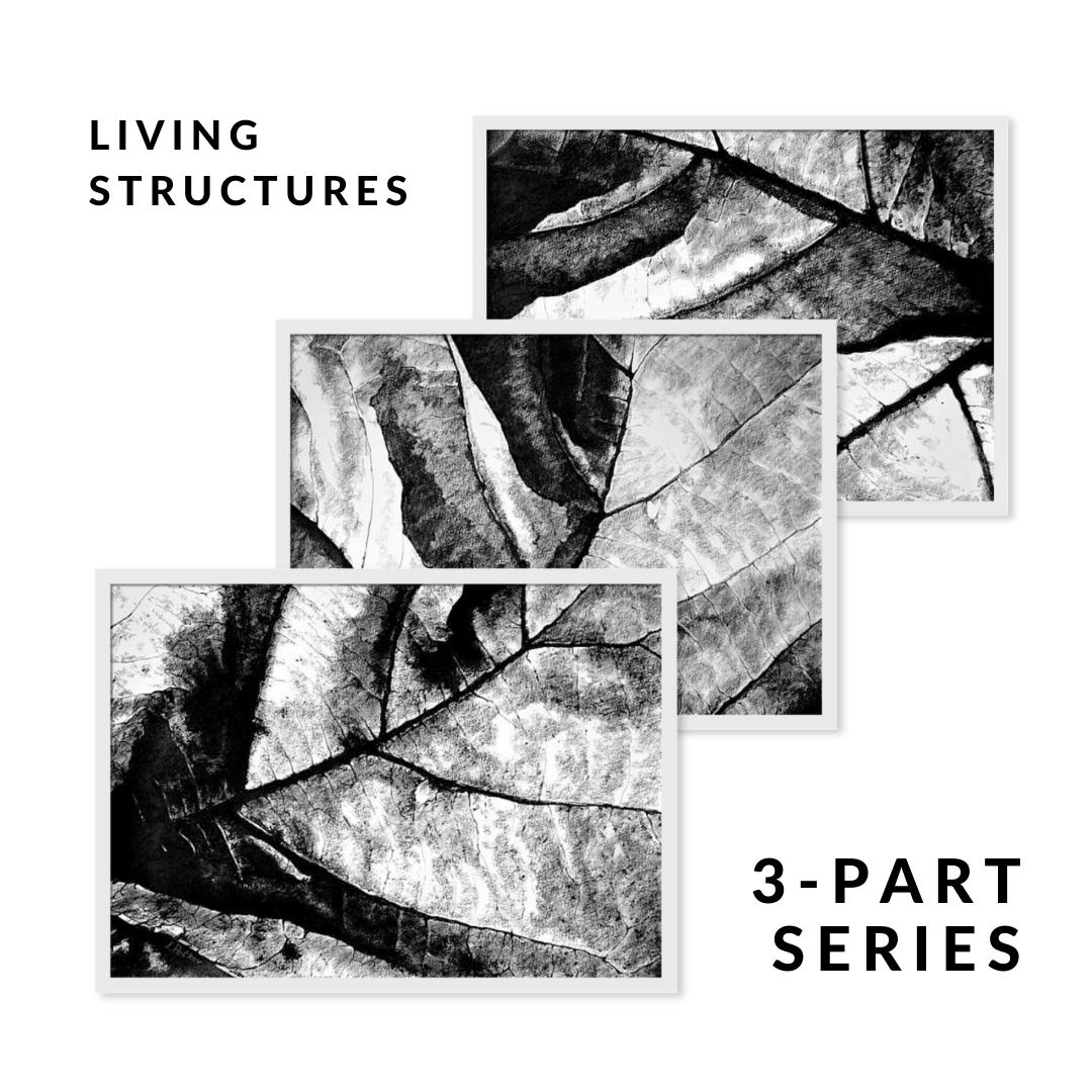 Living Structure Art Series - Set of 3 Black and White Pastel Drawings