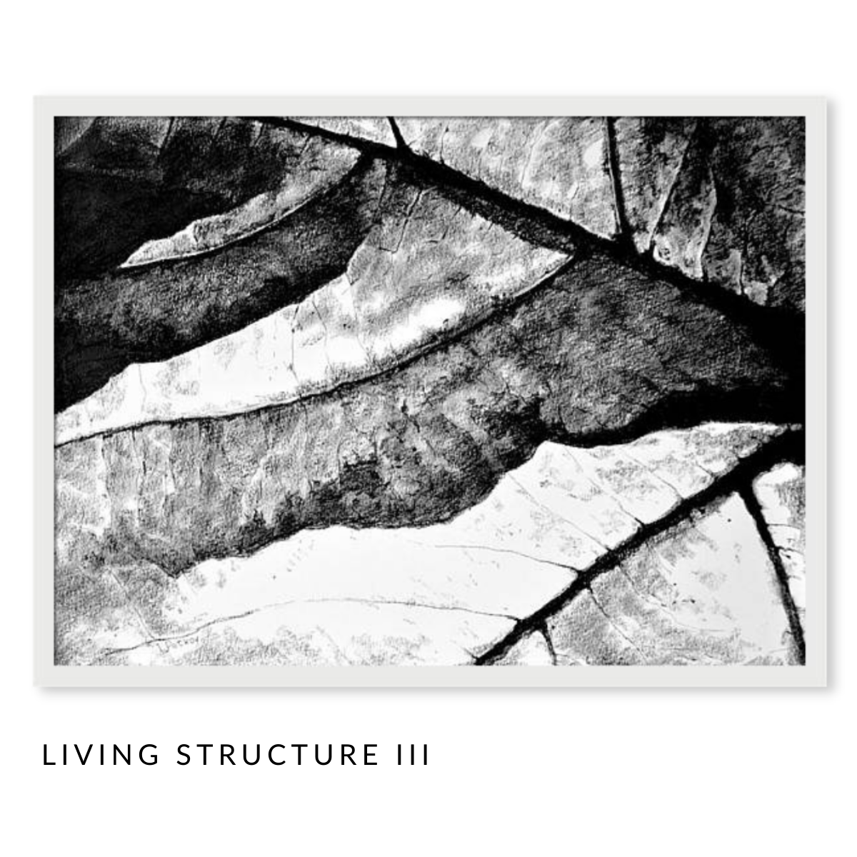 Living Structure Art Series - Set of 3 Black and White Pastel Drawings