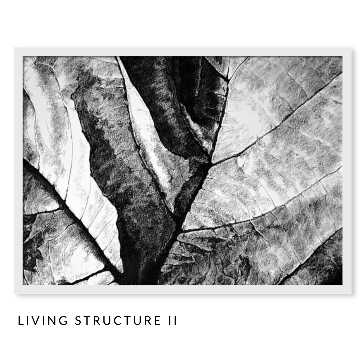 Living Structure Art Series - Set of 3 Black and White Pastel Drawings