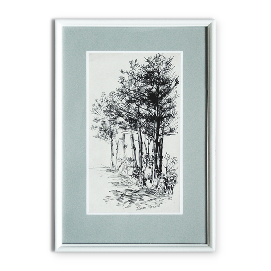 Pine Trees is a black and white pen and ink drawing of several pine trees along a a path or along the side of the road
