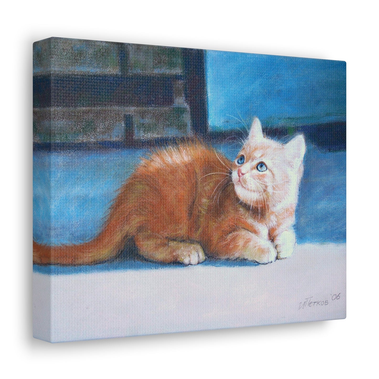 Orange Kitten - Canvas Print