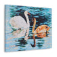 Swans on Lake with Reflections - Canvas Print