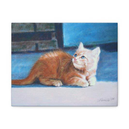 Orange Kitten - Canvas Print